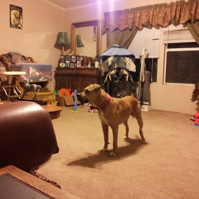 Profile Picture of Robert D Rowse (@rowse_d) on Twitter