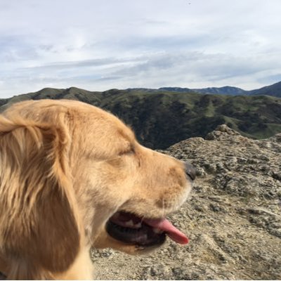 Profile Picture of @breecarroll (@breecarroll10) on Twitter