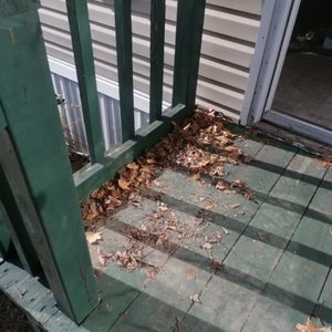 Tiffany Fryer - Myspace Profile Picture of Tiffany Fryer (@226688820) on Myspace