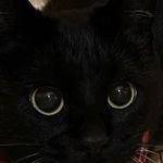 Profile Picture of Gaëlle Joly (@gaelle_jly) on Instagram