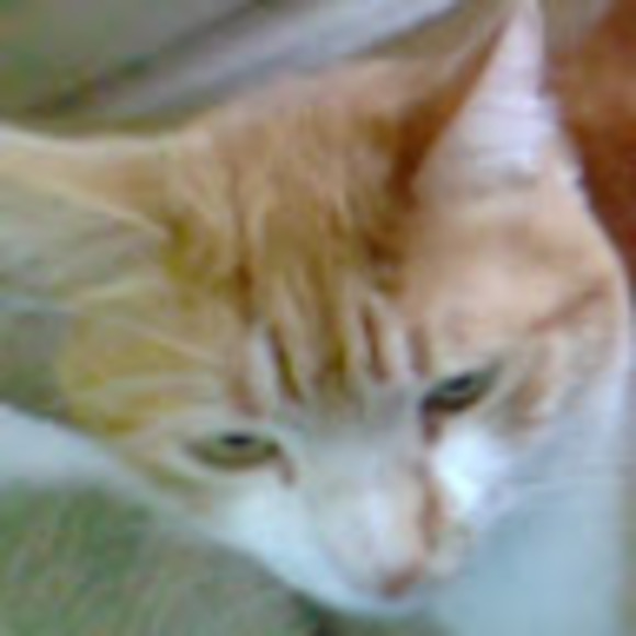 Profile Picture of Amelia Newton (@amelianewton975) on Poshmark