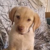 Profile Picture of Dane Larsen (@@danelarsen2) on Tiktok