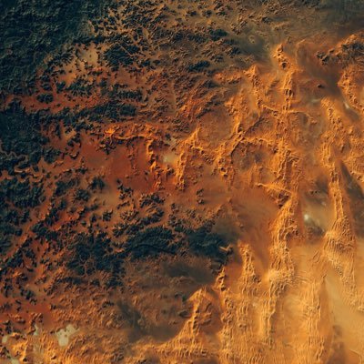 Profile Picture of Mason (@MasonRen1993) on Twitter