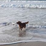 Profile Picture of Brandy Gill (@brandyisbetterthanlogan) on Instagram