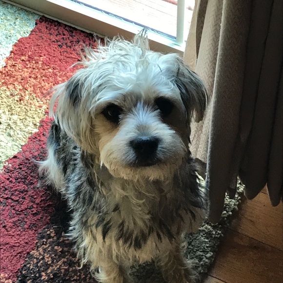 Profile Picture of Debra Seghi (@debseg) on Poshmark