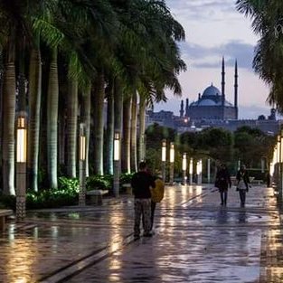 Basem Ali - Twitter Profile Picture of Basem Ali (@basemali00) on Twitter