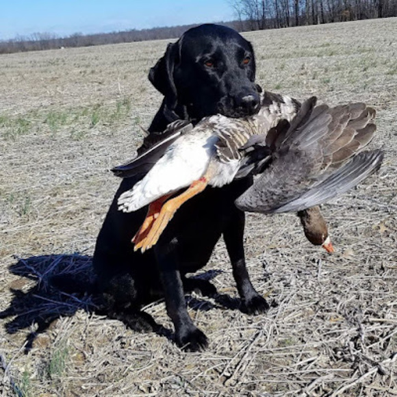 Max Valerius - Poshmark Profile Picture of Max Valerius (@maximumvintage) on Poshmark