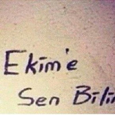 Profile Picture of Berk Danışmann (@BerkkDan) on Twitter