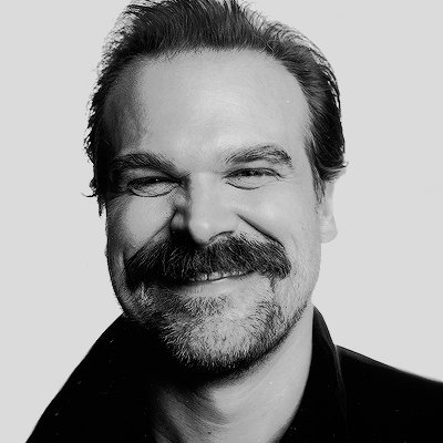 Profile Picture of David Harbour Source (@DHarbourSource) on Twitter