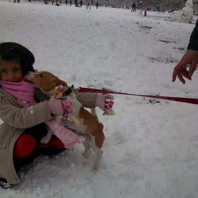 Profile Picture of Sara Al-Drees (@@S_AlDrees) on Twitter