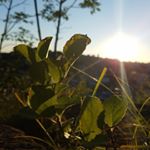 Profile Picture of Jimmy Duarte (@jimmy_duarte_wp52) on Instagram