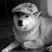 Profile Picture of Zachary Werner (@zewerner04) on Pinterest