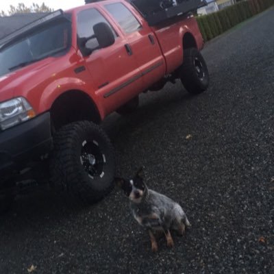 Profile Picture of Justin McCann (@justinnmccann2) on Twitter