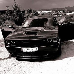 Profile Picture of Marek Stehlík (@marek7155) on Tiktok