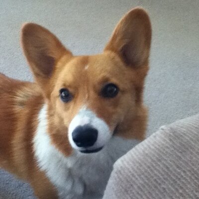 Profile Picture of Jonathan Ropp (@zombieslayer743) on Twitter