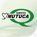 Profile Picture of Sementes Mutuca (@sementes_mutuca) on Instagram