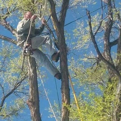 Profile Picture of Kevin Pettigrew (@KevinPettigrew6) on Twitter