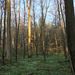 Profile Picture of Ralph Noll (@ralph_noll) on Pinterest