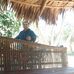Profile Picture of Edwin Clemente (@edwin.clemente.3194) on Facebook