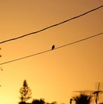 Profile Picture of Forrest Pagan (@forrest.pagan.2025) on Facebook