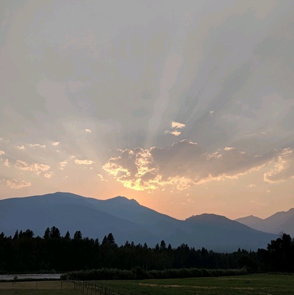 Profile Picture of Joan Walters (@jwflygirl) on Poshmark