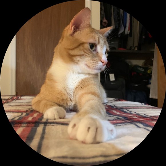 Profile Picture of Stevie james Stcal (@stcal) on Poshmark