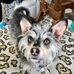 Profile Picture of Ryan Shriver (@ryan.shriver.355) on Facebook