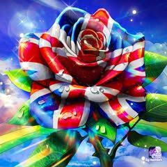 Profile Picture of Stephen Vesle (@stephen.vesle) on Tiktok
