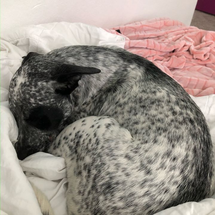 Profile Picture of Stacey Bone🤗 (@mamab_dots) on Tiktok