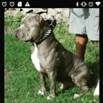 williamjackson - Instagram Profile Picture of williamjackson (@wilburjackson77882014) on Instagram