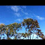 Profile Picture of Kevin Jessup (@dimetrybe) on Instagram