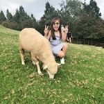 Profile Picture of Chew Ling Wei (@chewmyslingray) on Instagram