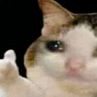 Brandon Valverde - Tiktok Profile Picture of Brandon Valverde (@lasagnalicker) on Tiktok