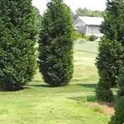 Profile Picture of Tim Abel (@timbo3727) on Youtube