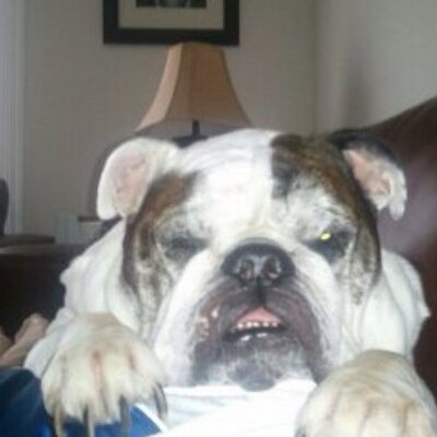 Profile Picture of Justin Hare (@jtharewvu) on Twitter