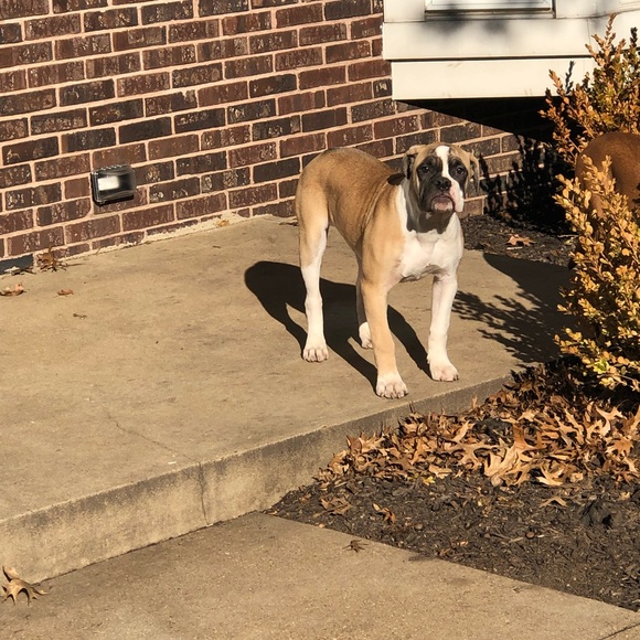 Profile Picture of Kevin Williams (@kwillstlseven) on Poshmark