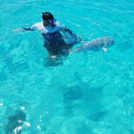 Profile Picture of Brendan Moloney (@brendanmoloney79) on Instagram