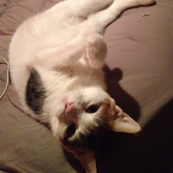 Marco Vidal - Poshmark Profile Picture of Marco Vidal (@marco_vidal) on Poshmark