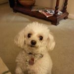 Profile Picture of Martha Reid (@martha.reid.5203) on Instagram