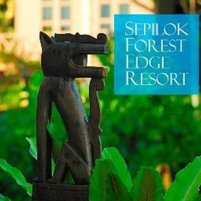 Profile Picture of SEPILOK FOREST EDGE (@ClareBernadinus) on Twitter