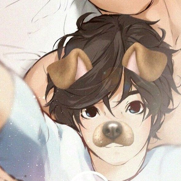 Profile Picture of David Steferson (@davidsteferson) on Tiktok