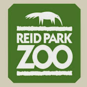 Profile Picture of Reid Zoo (@reidzoo5748) on Youtube