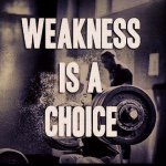 Brandon Wixson - Instagram Profile Picture of Brandon Wixson (@b.wixson) on Instagram