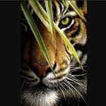 Profile Picture of Meign Roman (@rouillieraniqh) on Instagram