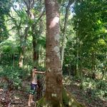 Profile Picture of Robson Marinho (@robson.marinho.102) on Instagram