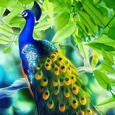 Profile Picture of Nashat (@tahleh11) on Twitter