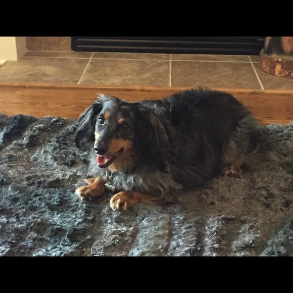 Profile Picture of Denise Sessler (@dsessler) on Poshmark