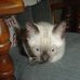 Profile Picture of Kathy Schadwinkel (@kathy.schadwinkel) on Facebook