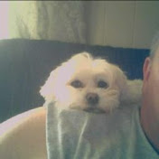 Profile Picture of David McClain (@davidmcclain7188) on Youtube