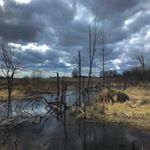 Profile Picture of Phil Stosberg & Adam White (@humanstrangemusic) on Instagram